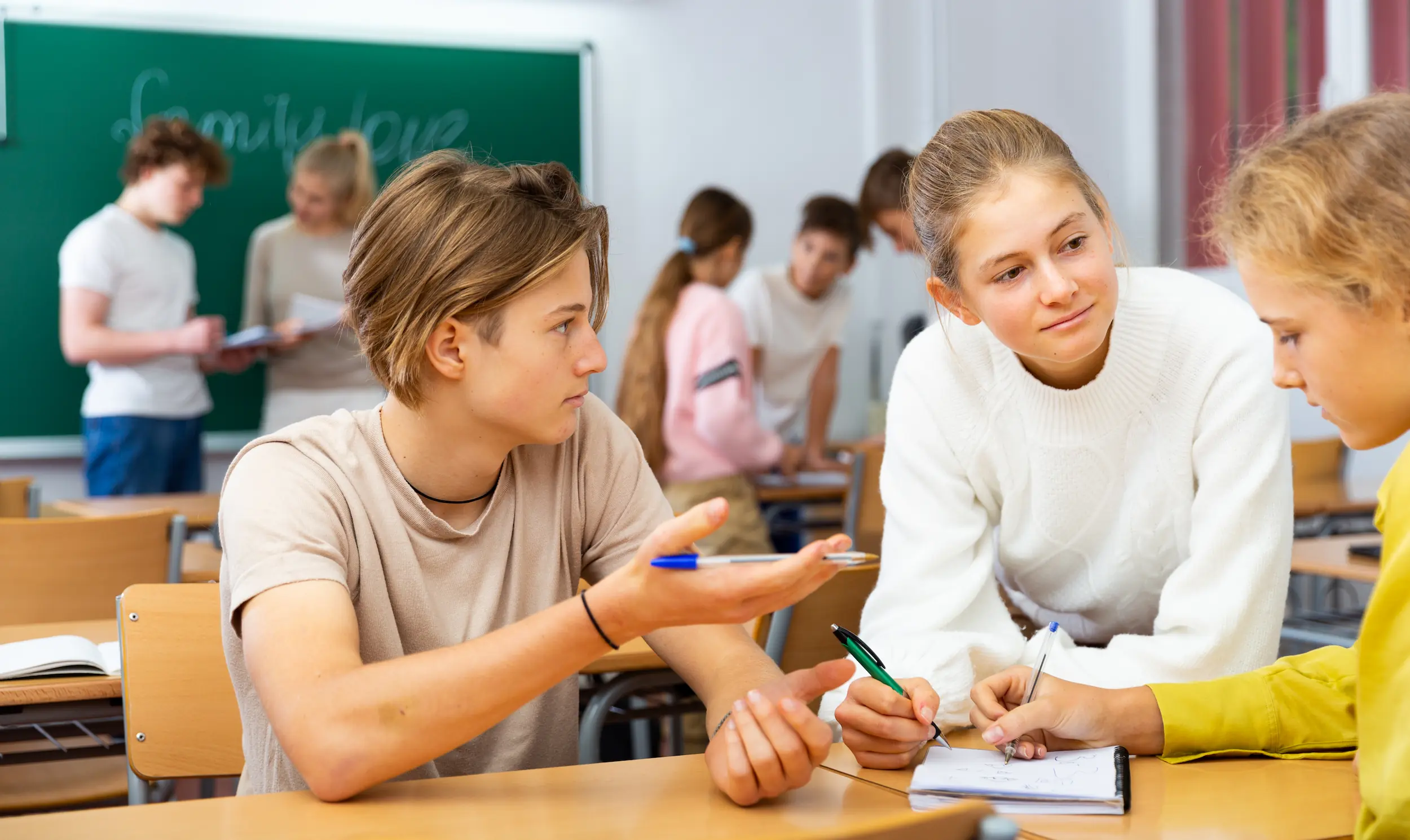 Havistencompetent-sterk havo onderwijs